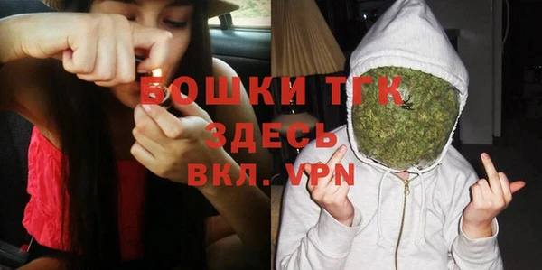 амф Горняк
