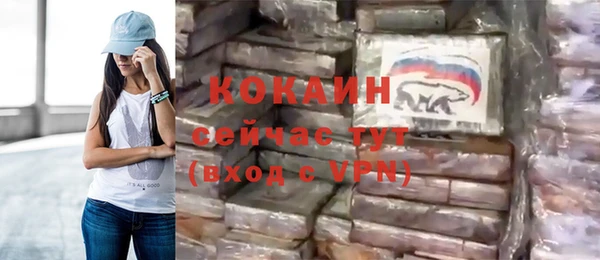 амф Горняк
