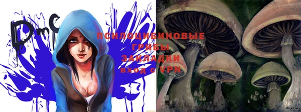 амф Горняк