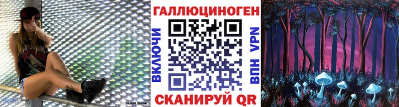 Псилоцибиновые грибы мицелий  Купить  Хадыженск 